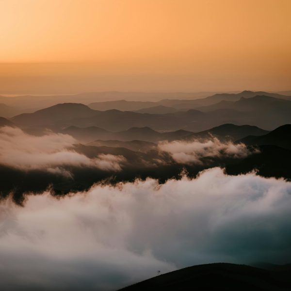 2do Encuentro Consorcio Divulgación